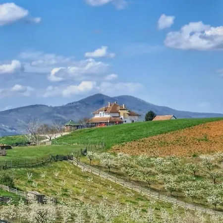 Gospodarstwo wiejskie Kuca Kod Tala *